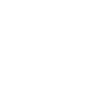 Network